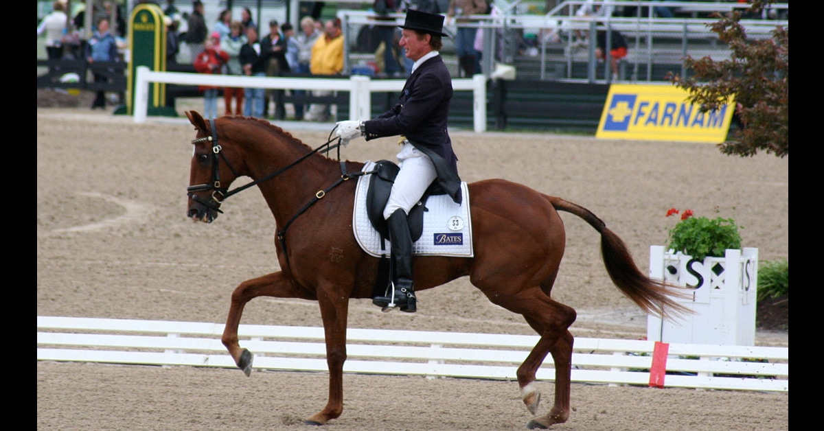 A man riding a chestnut horse in a dressage arena.