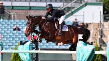 A woman jumping a dark bay mare over a fence in Kentucky.