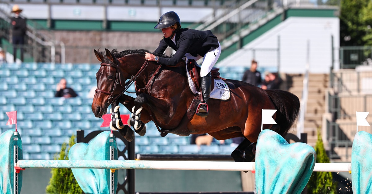 A woman jumping a dark bay mare over a fence in Kentucky.