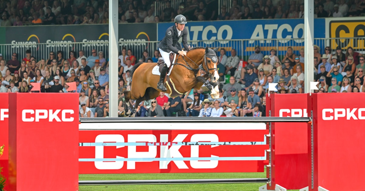 A man on a bay horse jumping a CPKC fence at Spruce Meadows.