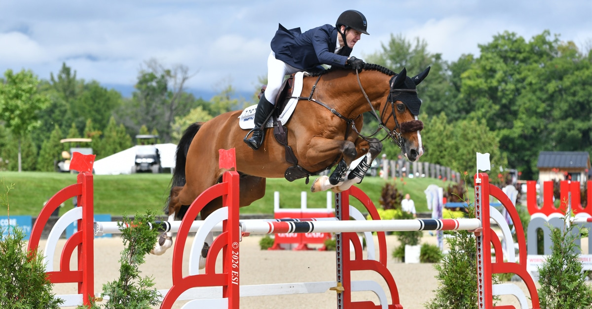 A man jumping a bay horse over a fence in New York.