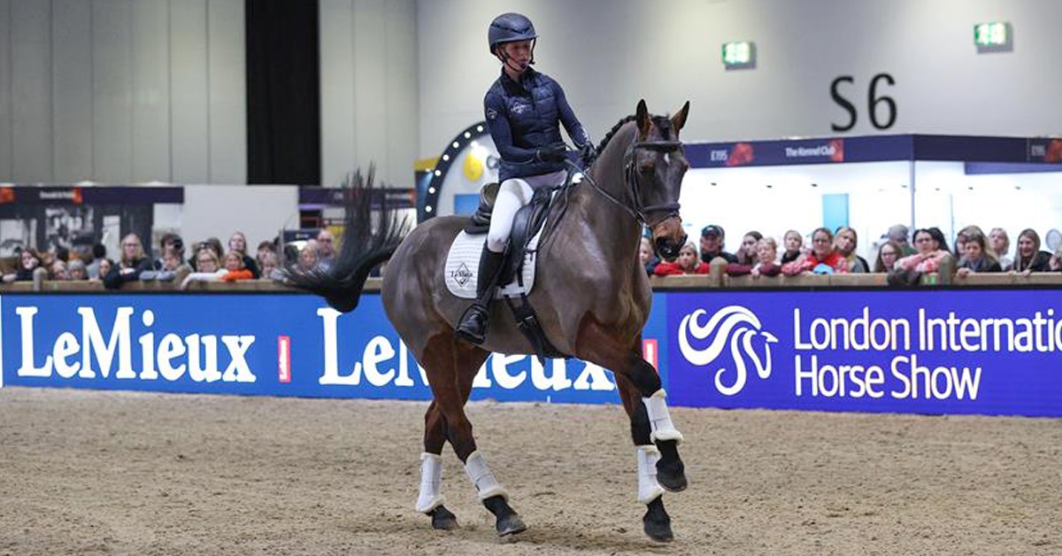 A woman wearing a mic riding a bay horse in an arena.