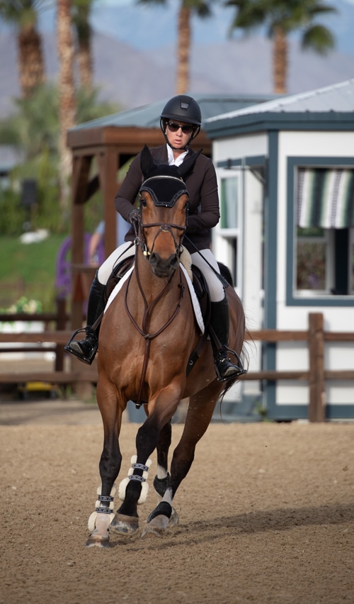 A horse and rider on a jumper course.