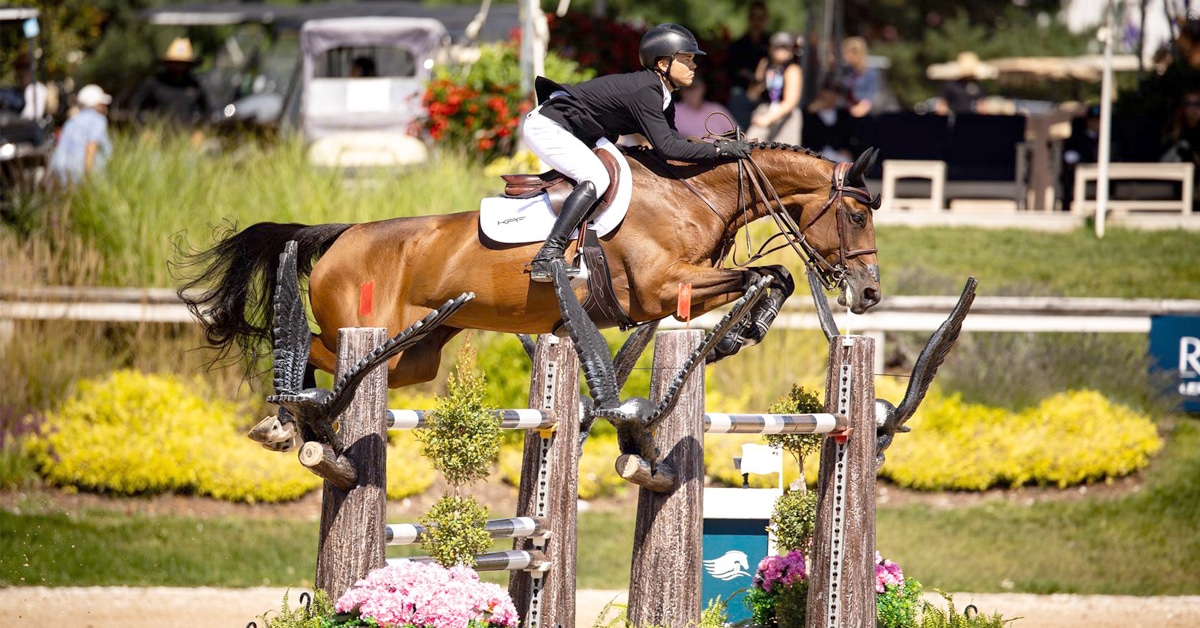A man jumping a bay mare over a fence at Traverse City.
