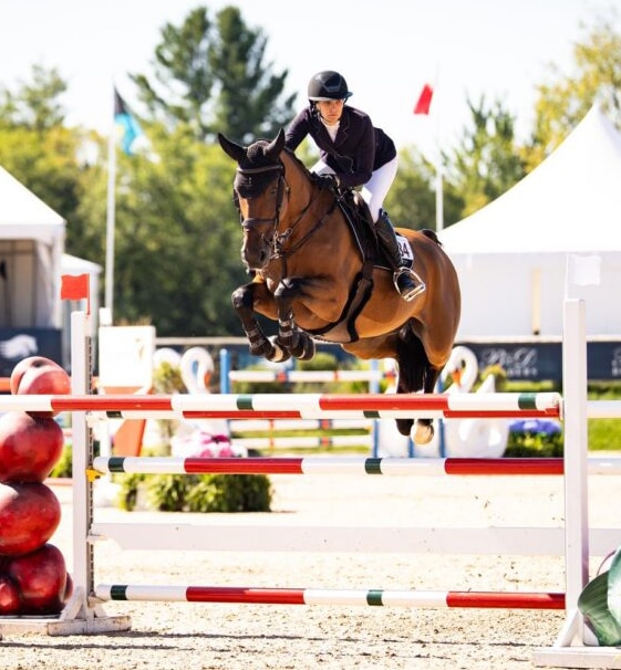A woman jumping a bay horse over a fence in Traverse City.
