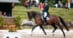 A man performing a dressage freestyle on a dark bay horse.