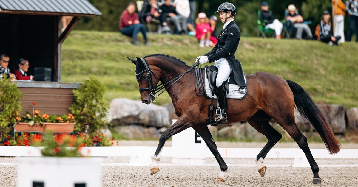 A man performing a dressage freestyle on a dark bay horse.