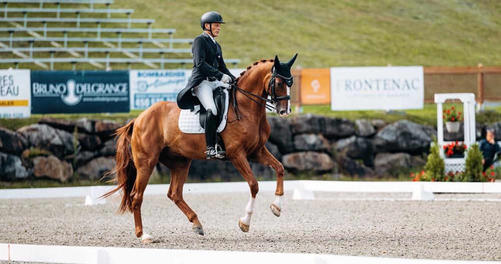 A man riding a chestnut horse during a dressage test.