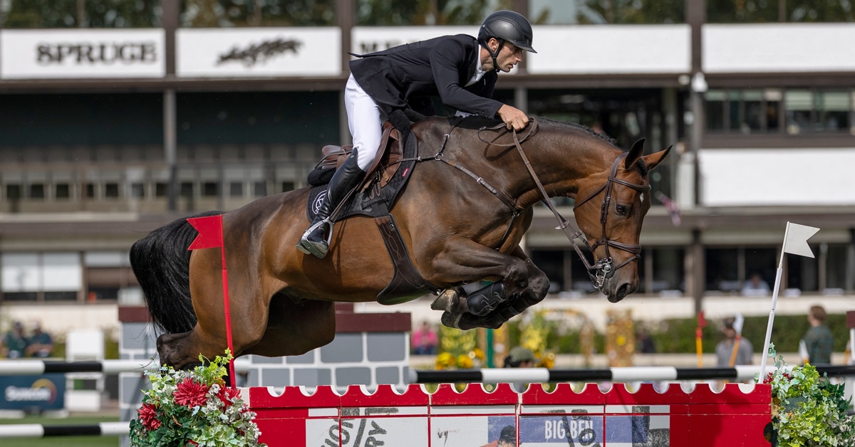 A man jumping a bay horse over a fence at Spruce Meadows.