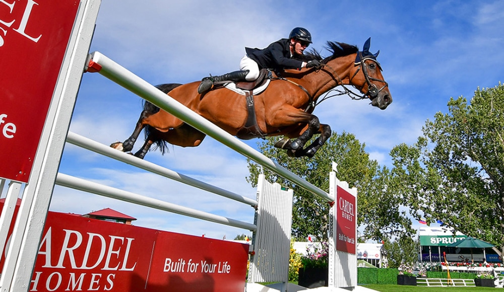 A man jumping a bay horse over a fence at Spruce Meadows.