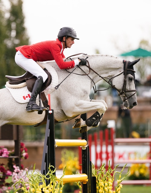A man in a red jacket jumping a grey horse over a fence at Spruce Meadows.