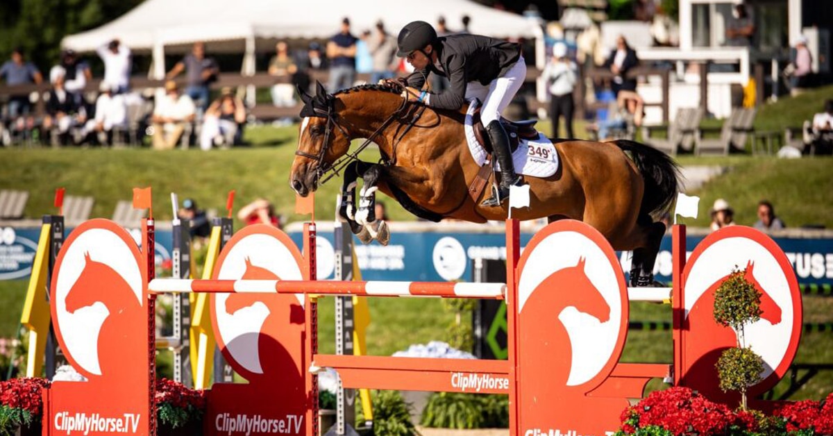 A man jumping a bay horse over a fence in Traverse City.