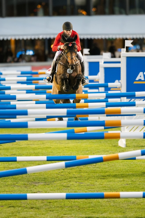 A man jumping a bay horse through a six-bar line.