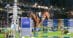 A woman jumping a bay horse over a six-bar jump at Spruce Meadows.