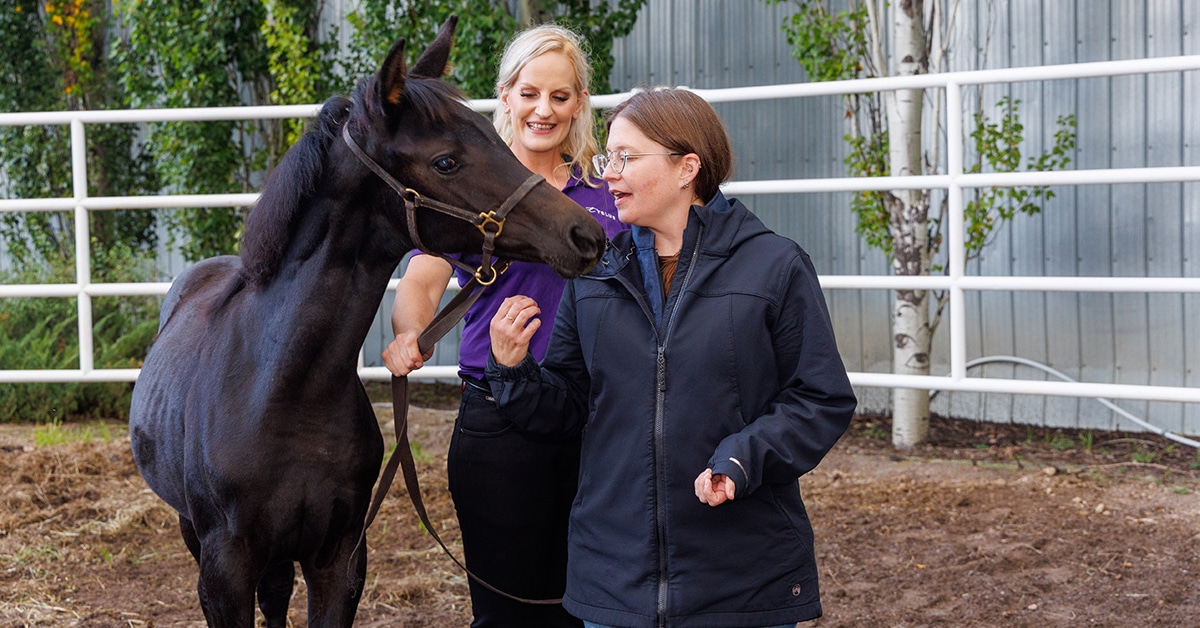 A woman patting a dark bay foal.
