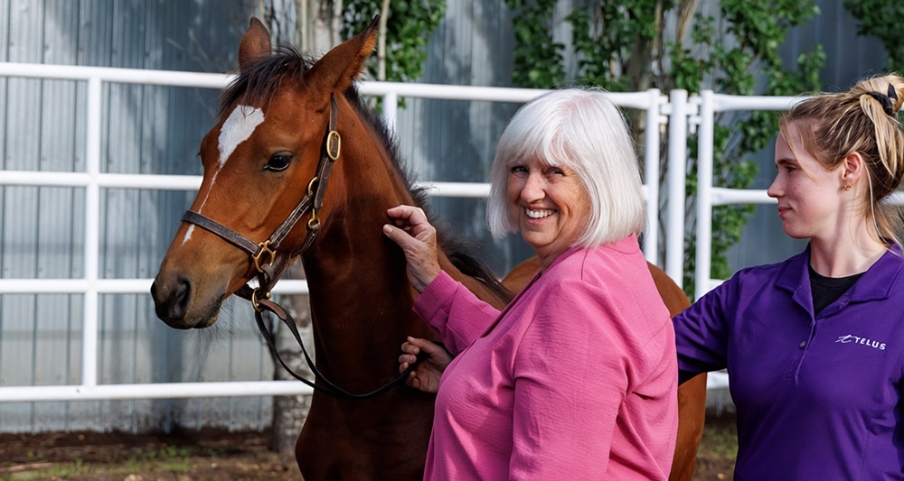 A woman patting a bay foal.