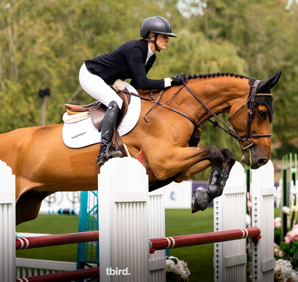 A woman jumping a bay horse over a fence at tbird.