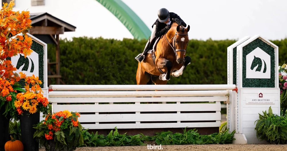A woman riding a bay horse over a hunter fence at tbird.