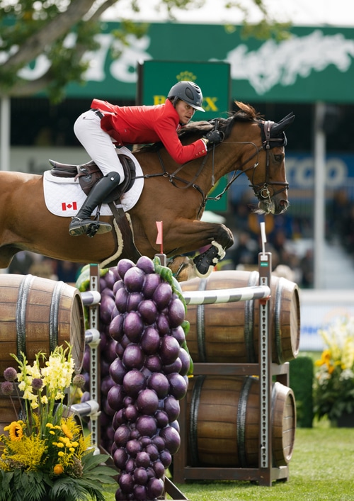 A man in a red jacket jumping a bay horse over a fence at Spruce Meadows.