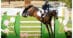 A young woman on a bay horse jumping a fence at tbird.