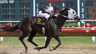 A dark horse racing at a track.
