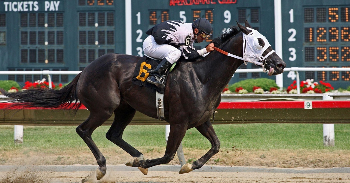 A dark horse racing at a track.
