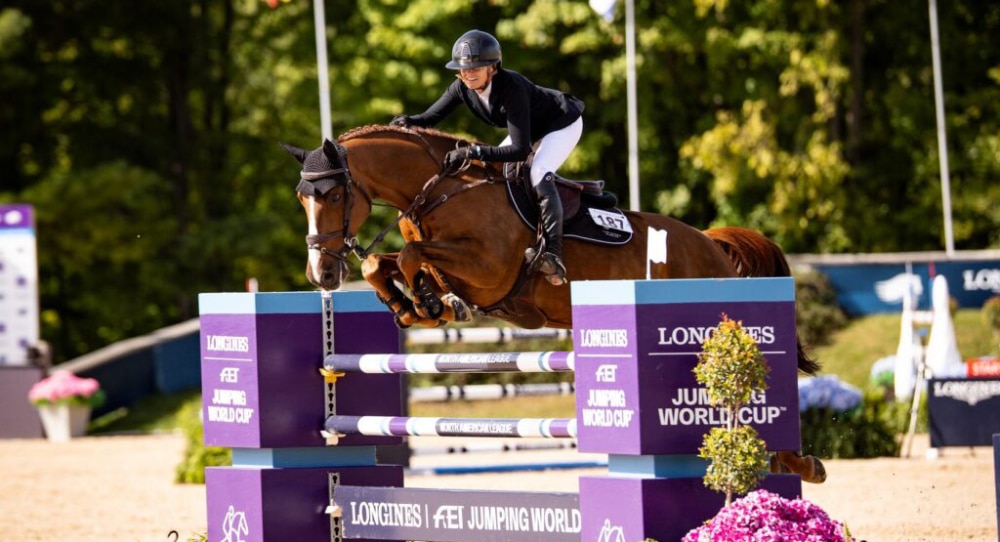 A woman jumping a fence on a chestnut horse at Traverse City.