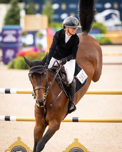 A woman jumping a bay horse over a fence at Traverse City.
