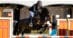 A man jumping a dark bay horse over a fence at tbird.