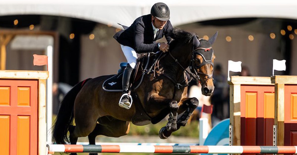 A man jumping a dark bay horse over a fence at tbird.
