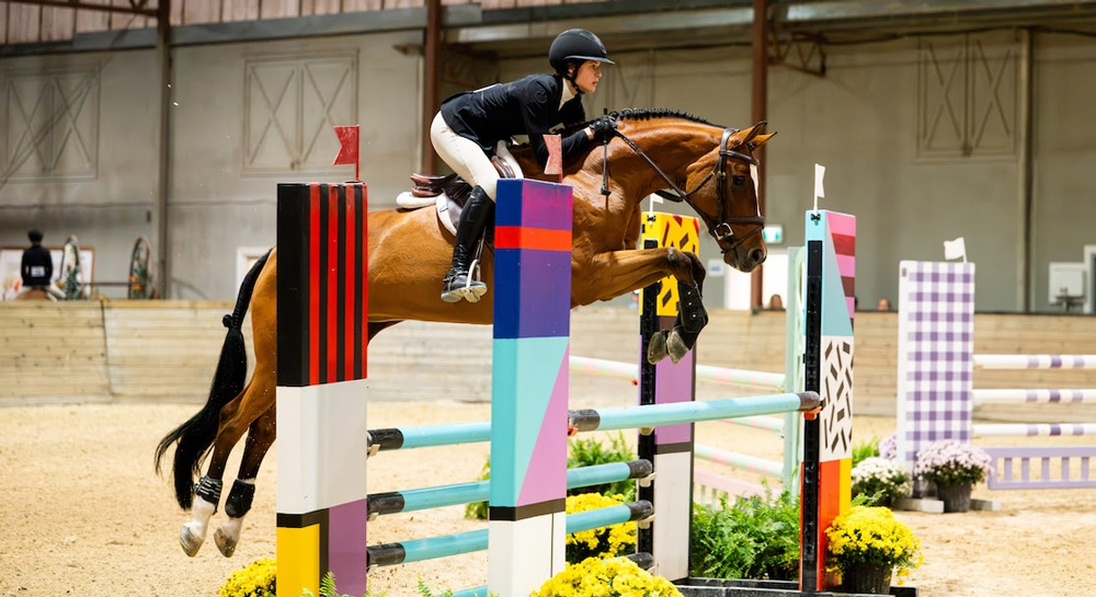 A woman jumping a bay horse over a fence in an indoor arena.