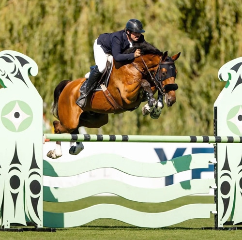 A man jumping a bay horse over a fence at tbird.