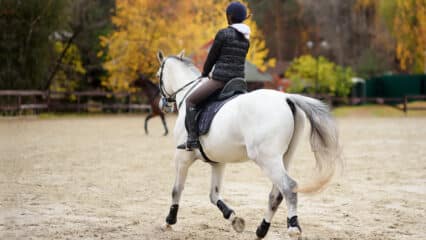 A person riding a grey horse in an outdoor ring in the fall.
