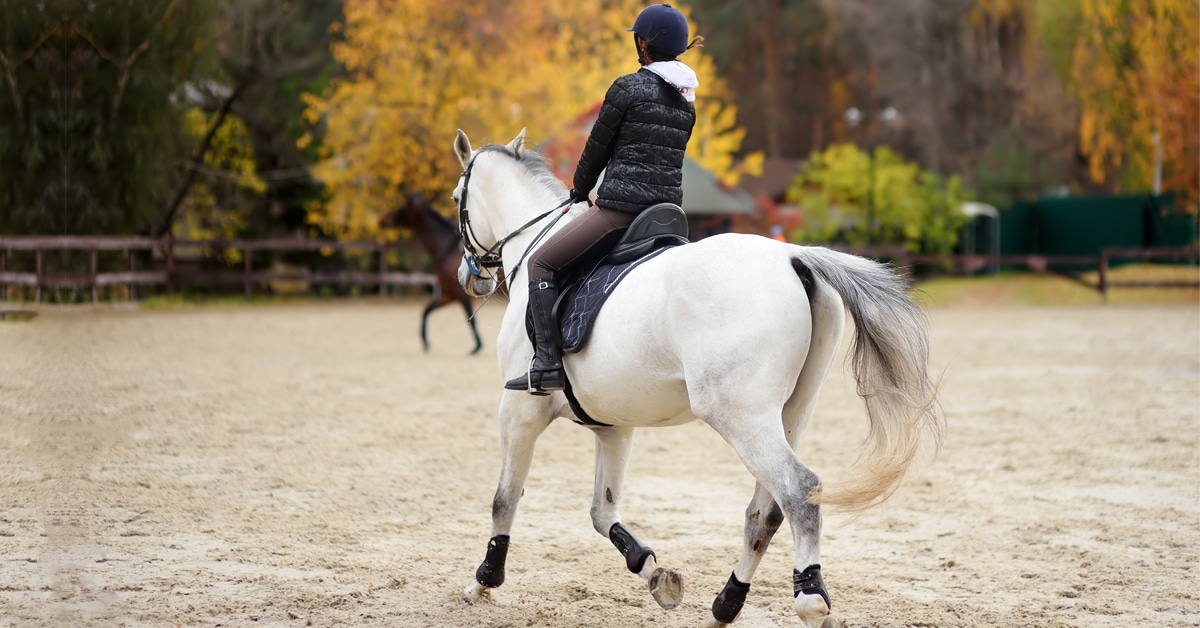 A person riding a grey horse in an outdoor ring in the fall.