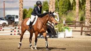 A woman patting her horse on the way out of a jumping ring.