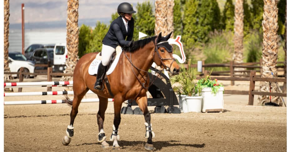 A woman patting her horse on the way out of a jumping ring.