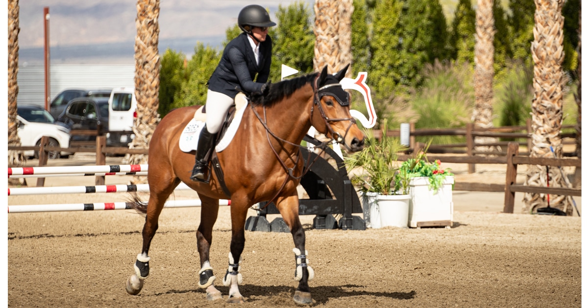 A woman patting her horse on the way out of a jumping ring.