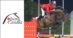 A man wearing a red jacket jumping a bay horse over a fence.