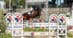 A man jumping a dark bay horse over a fence in Kentucky.
