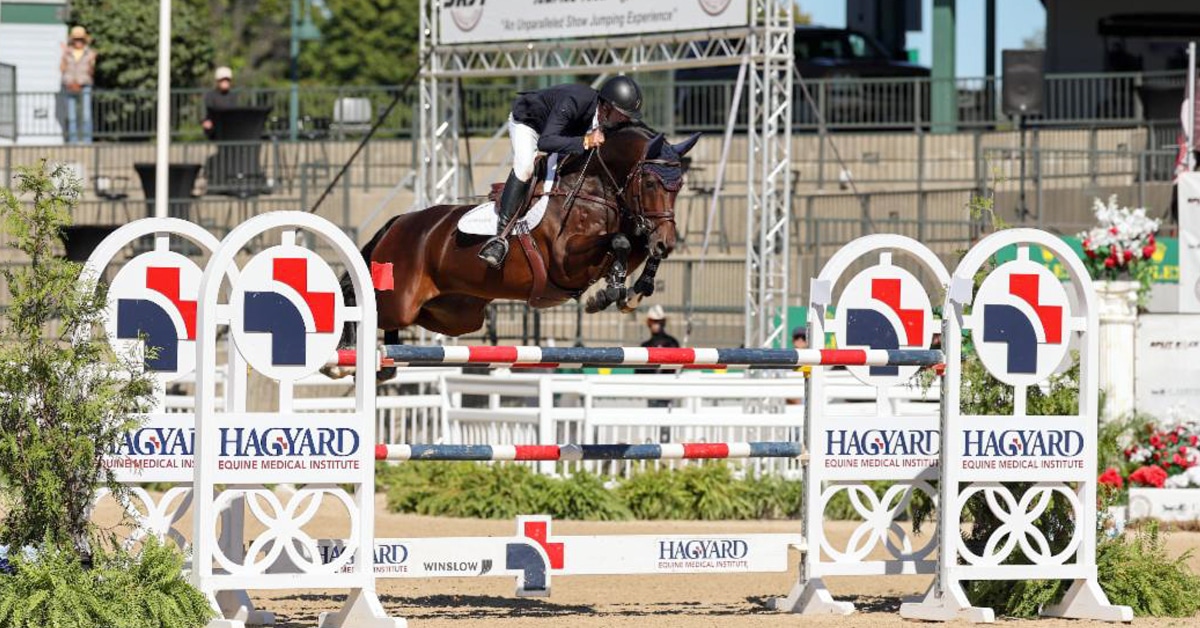 A man jumping a dark bay horse over a fence in Kentucky.