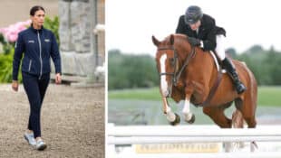 A woman walking a course; a man jumping a chestnut horse over a hunter fence.