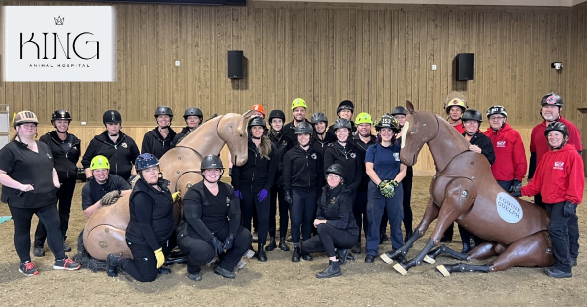 A large group pf people i an arena with two horse mannequins.