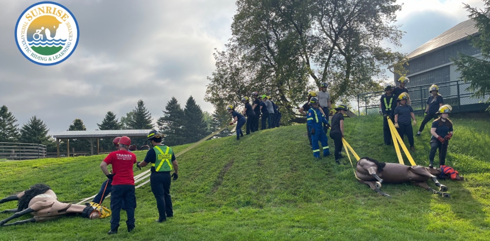 Two horse mannequins being pulled up a hillside.