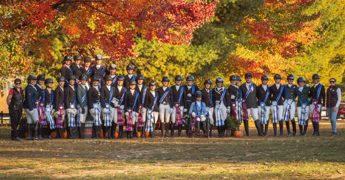 A group of dressage riders in an autumn setting.