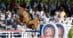 A man jumping a chestnut horse over a fence in Tokyo.