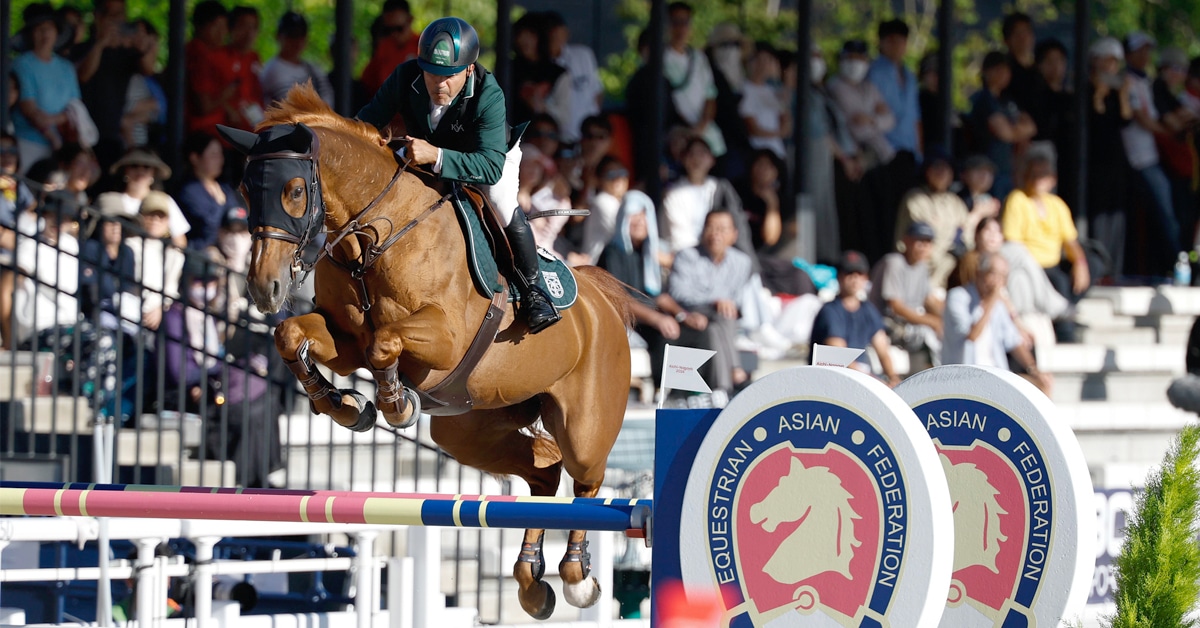 A man jumping a chestnut horse over a fence in Tokyo.