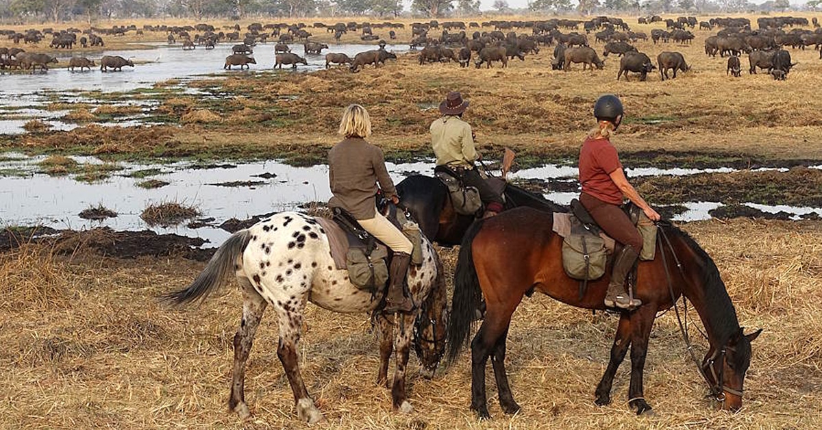 People on horseback on safari in Africa.