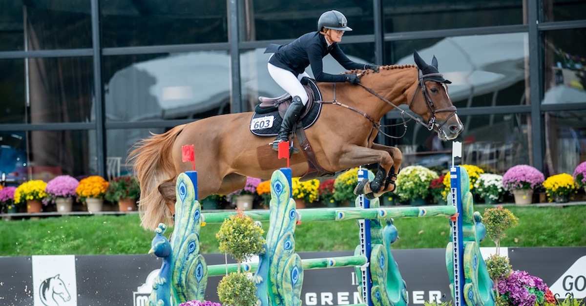 A woman jumping a chestnut horse over a fence in New York.