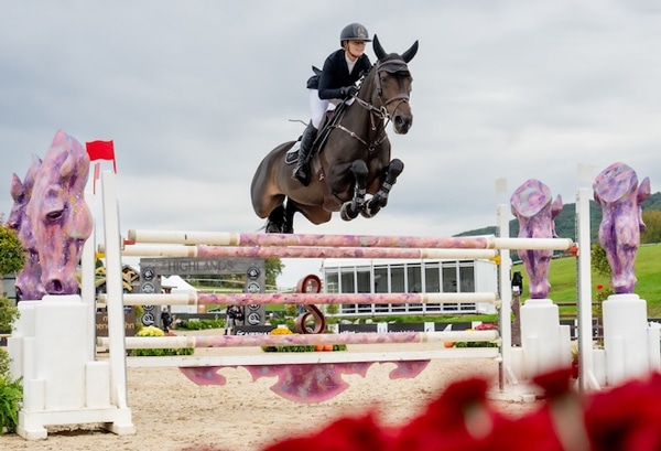 A woman jumping a dark bay horse over a fence in New York.