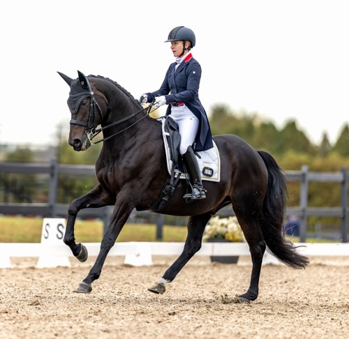 A woman riding a dark bay dressage horse during a test.